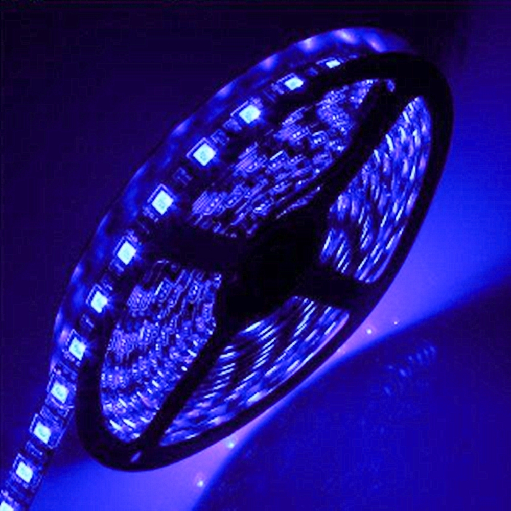 Foto principale Striscia Led 12V 70W SMD 5050 5 metri IP65 Blu Wisdom
