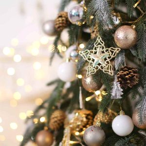 Decorazioni Albero di Natale