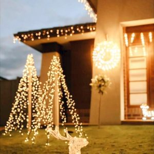 Luci di Natale per Giardino