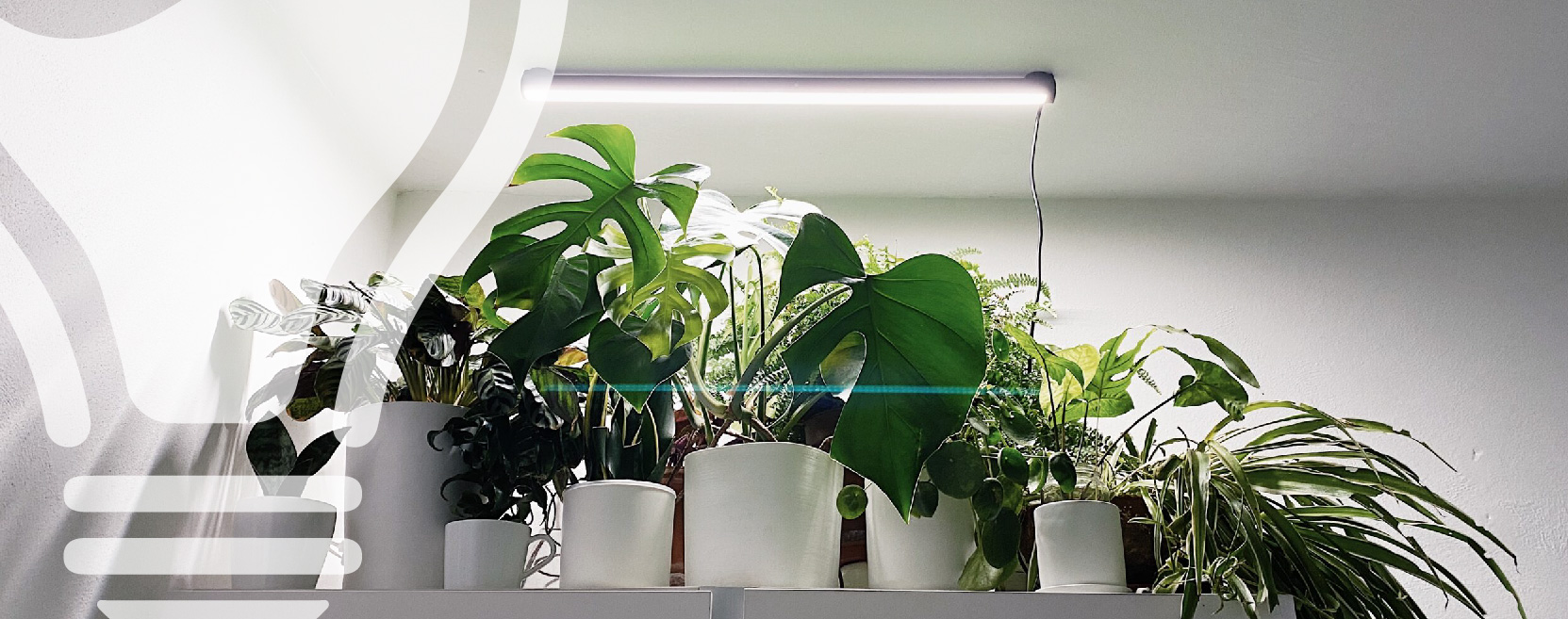 illuminazione led per piante: la guida definitiva