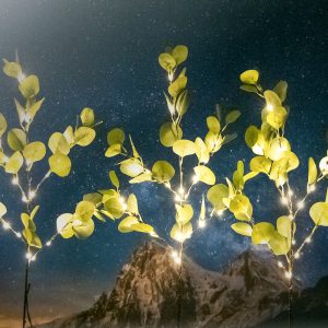 Foto principale Catena decorata 3 rami di eucalipto a energia solare 60 Led Bianco caldo Aigostar