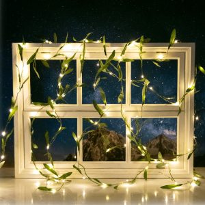 Foto principale Catena decorata con foglie di ulivo a energia solare 50 Led 2 metri Bianco caldo Aigostar