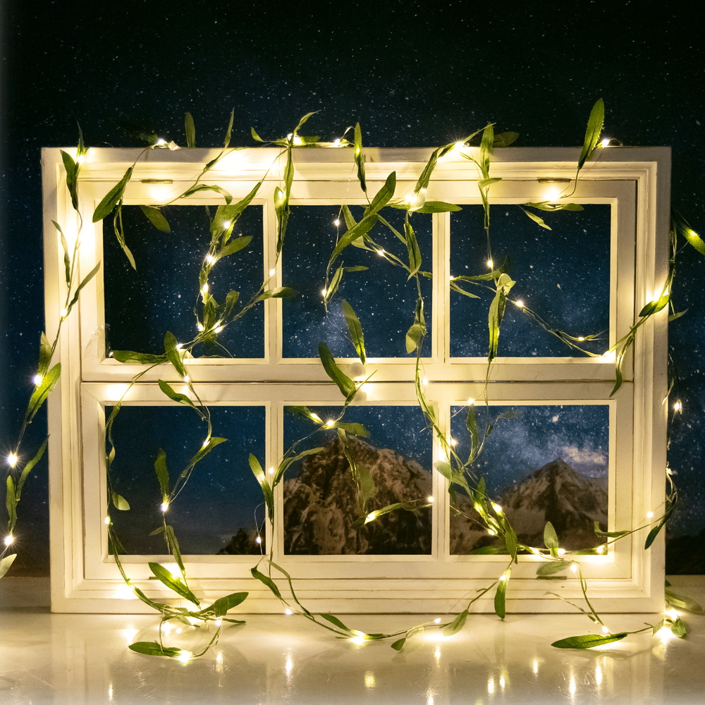 Foto principale Catena decorata con foglie di ulivo a energia solare 50 Led 2 metri Bianco caldo Aigostar