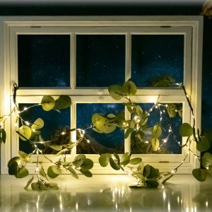 Foto principale Catena decorata rami di ulivo a energia solare 60 Led 2 metri Bianco caldo Aigostar
