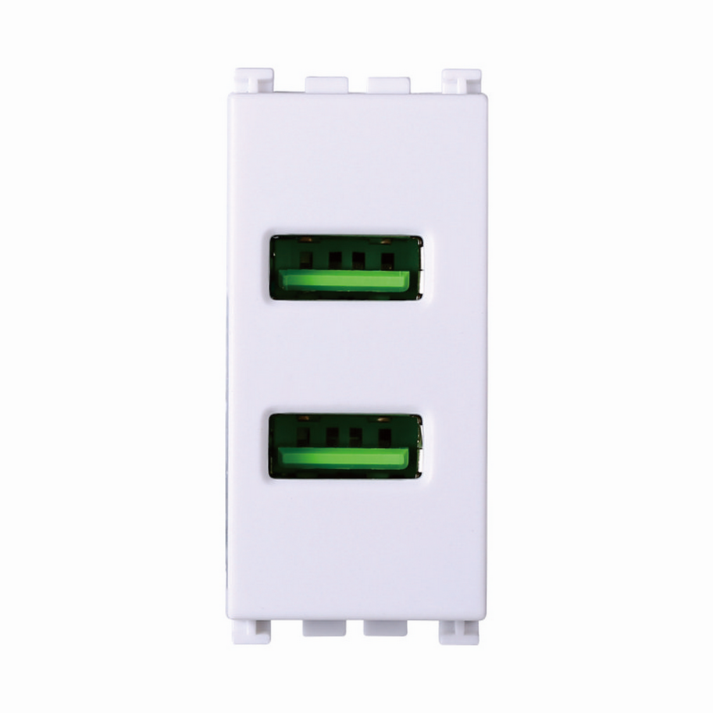 Foto principale Presa USB a 2 posti bianca compatibile anche con Vimar Arké