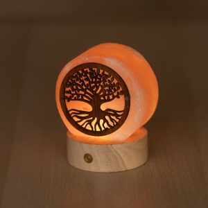 Foto principale Lampada di Sale Himalayano a batteria Rosa naturale a forma di Albero della vita 600gr