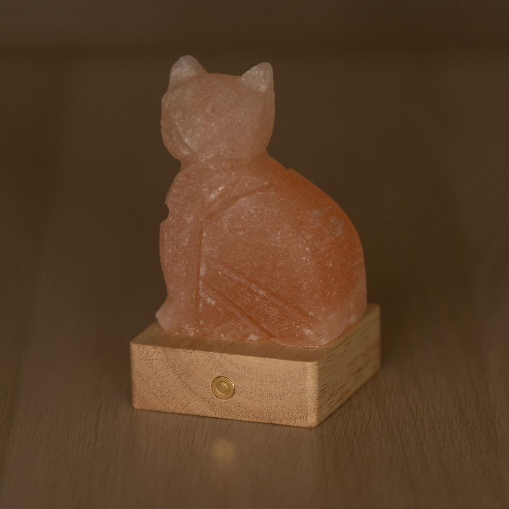 Lampada di Sale Himalayano a batteria Rosa naturale a forma di Gatto 600gr - Foto 1