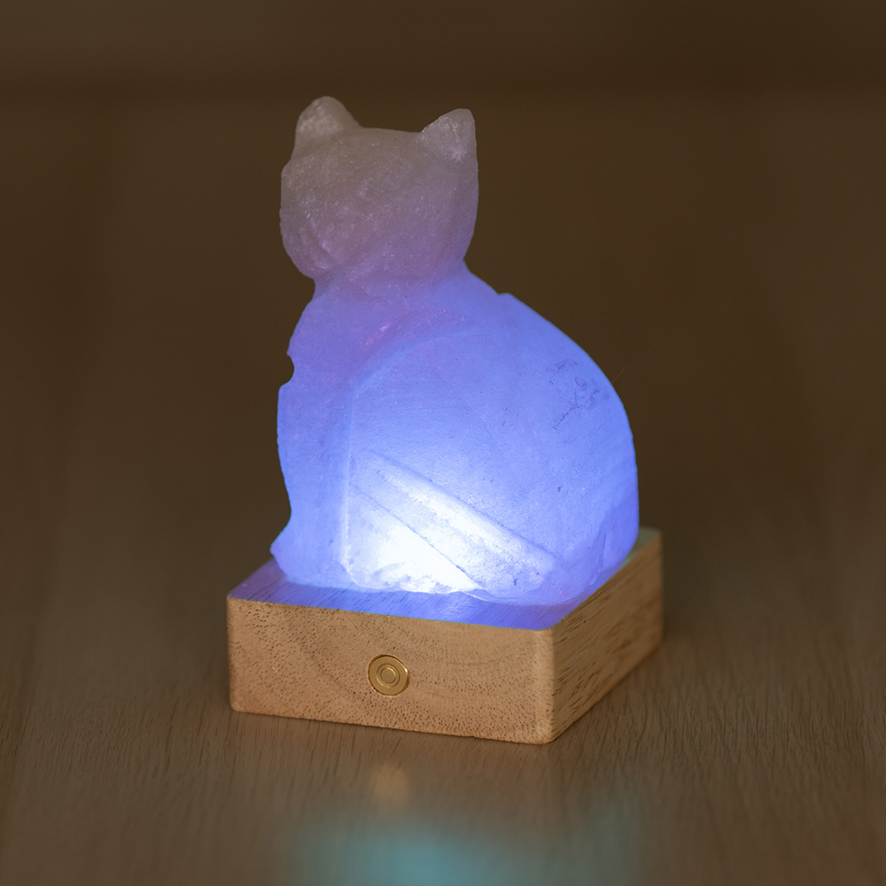 Lampada di Sale Himalayano a batteria Rosa naturale a forma di Gatto 600gr - Foto 2