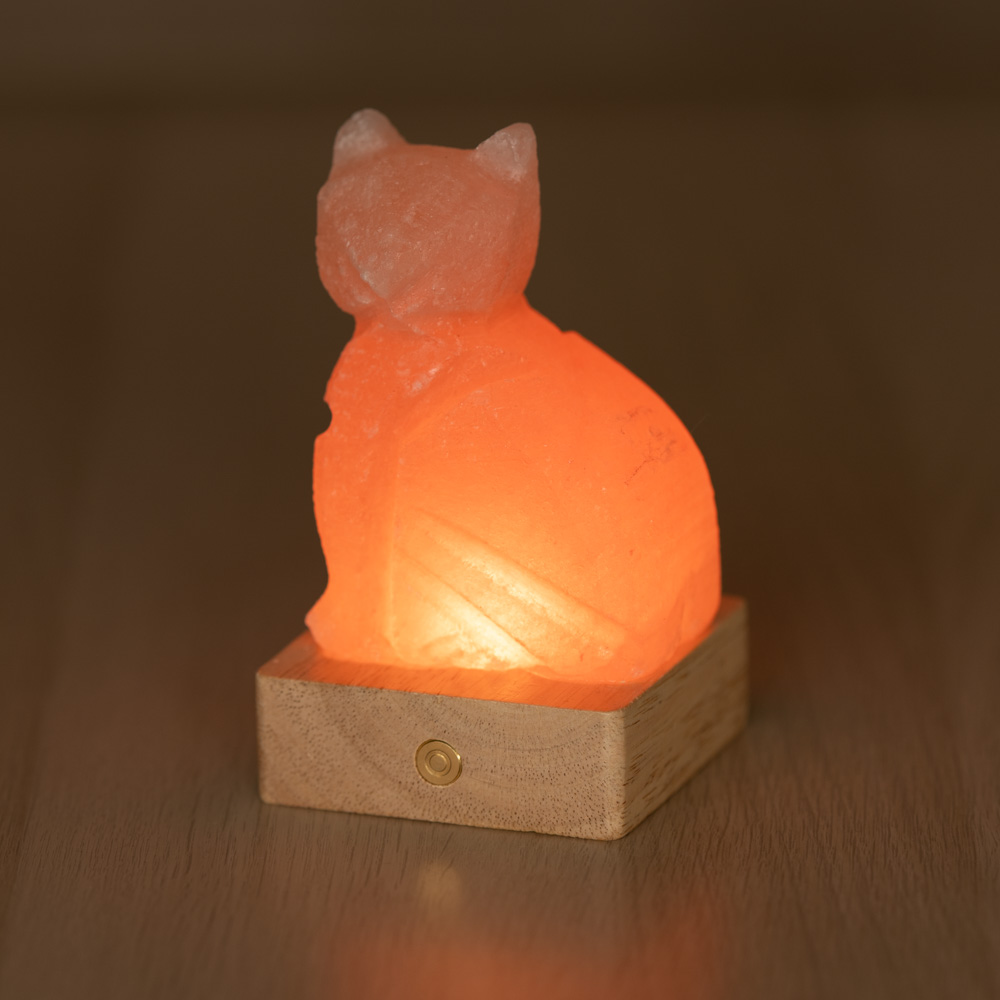 Lampada di Sale Himalayano a batteria Rosa naturale a forma di Gatto 600gr - Foto 3
