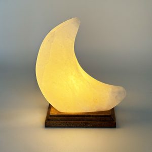 Foto principale Lampada di Sale Himalayano Bianco naturale a forma di Luna 2-3Kg